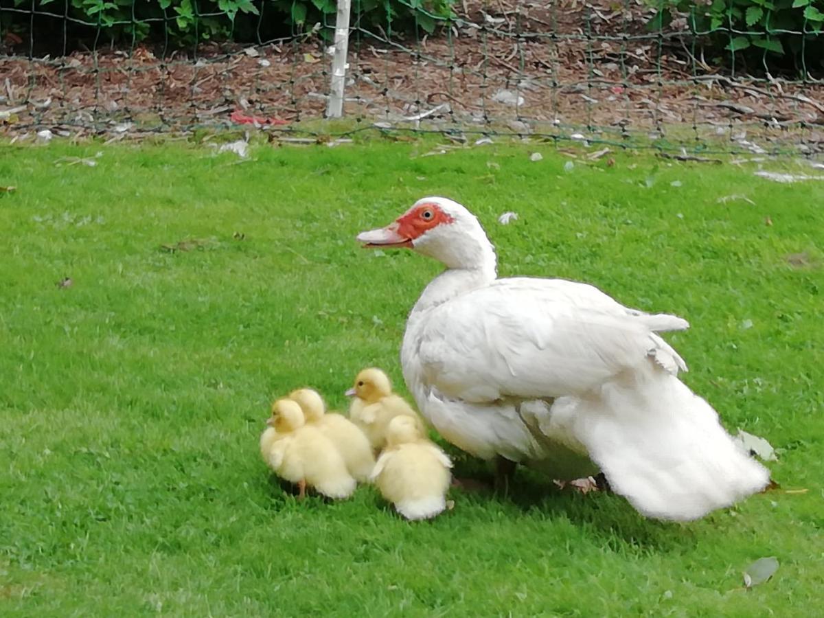 워크솝 Clumber Lane End Farm B&B 외부 사진