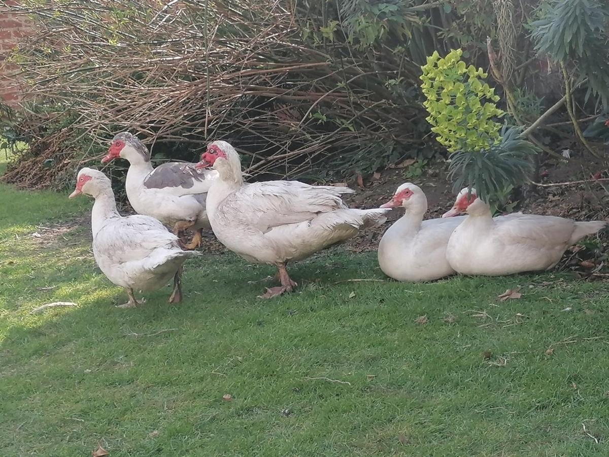 워크솝 Clumber Lane End Farm B&B 외부 사진